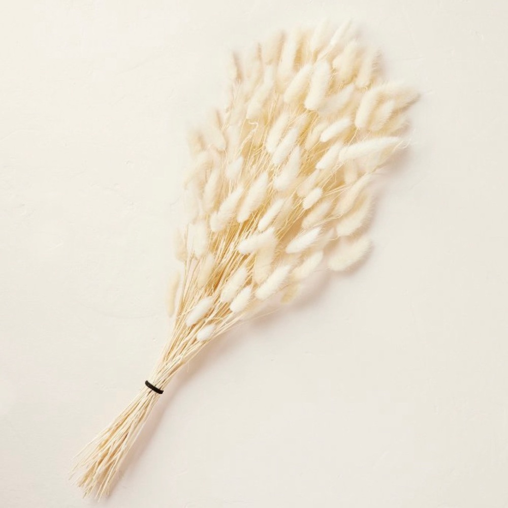 Preserved Bunny Tail Grass Stems Fall Bundle - Hearth and Hand with Magnolia